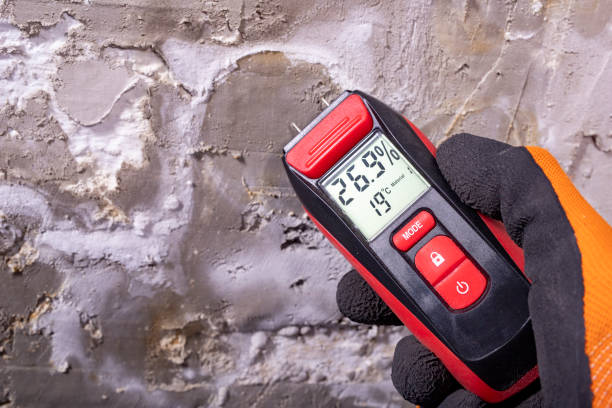 Best Local Mold Removal Service  in Danielson, CT