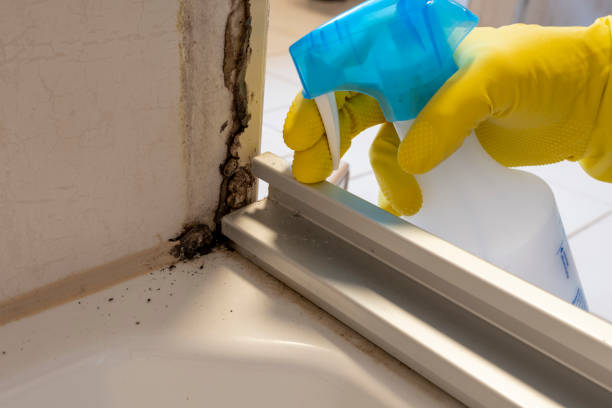 Best Mold Testing  in Danielson, CT
